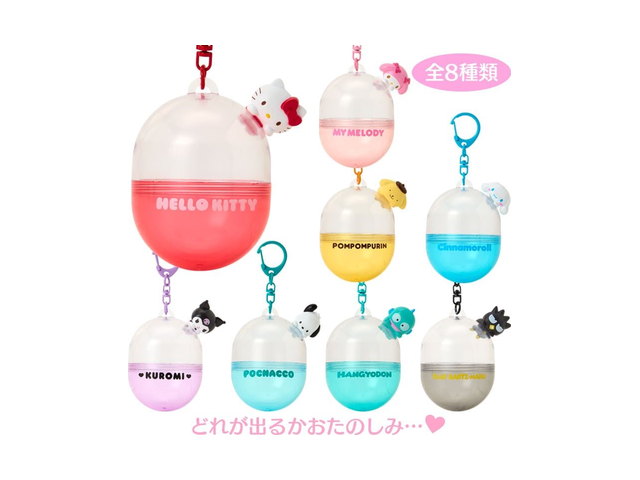 サンリオキャラクターズ シークレットカプセルケース（わくわくサンリオカプセルトイ部）の商品画像
