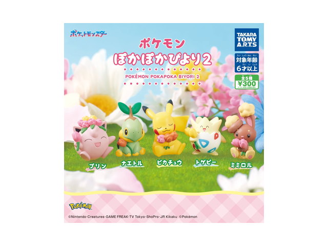 ポケモン ぽかぽかびより2の商品画像
