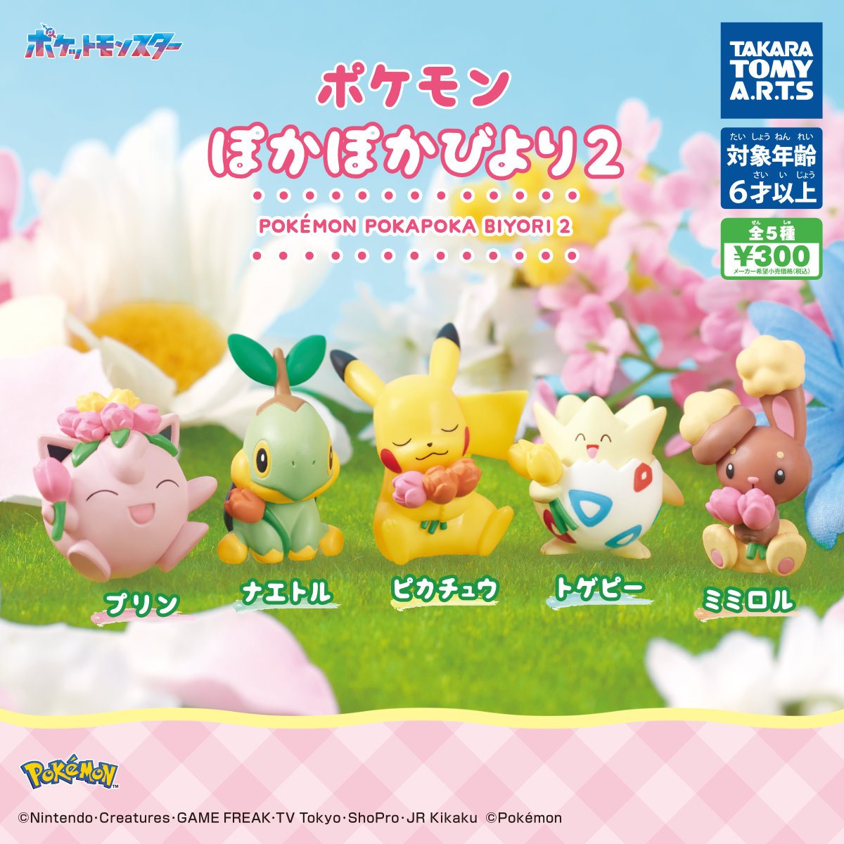 ポケモン ぽかぽかびより2の商品画像