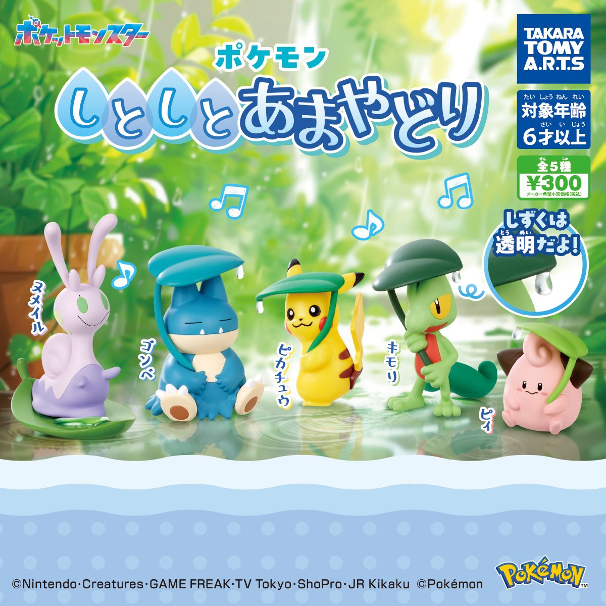 ポケモン しとしとあまやどりの商品画像